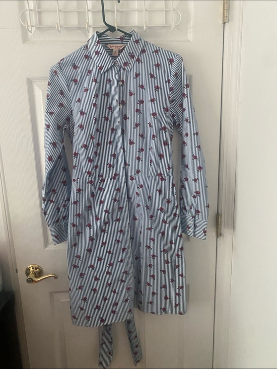 Brooks Brothers Dresses & Skirts - Brooks Brothers Light Blue & white Striped Button-Down dress w Red Flowers 8